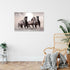 Wandbilder Wohnzimmer XXL Pferde Moderne Bilder Tiere